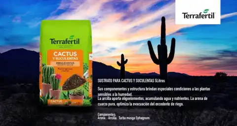 Terrafertil CACTUS y SUCULENTAS 5lts