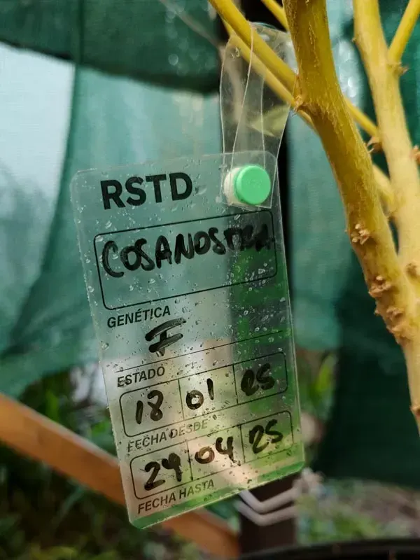 RSTD Rotulo Colgante Transparente x4