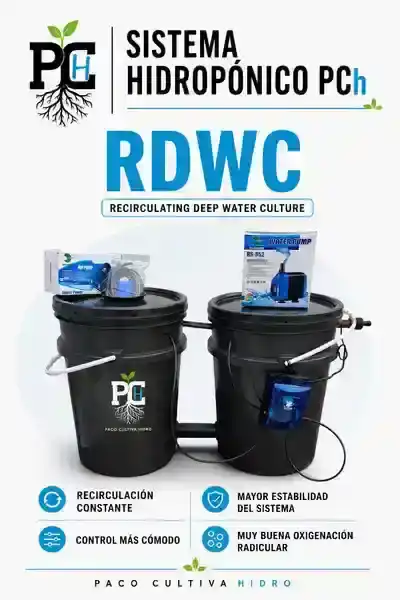 Sistema RDWC 2.1