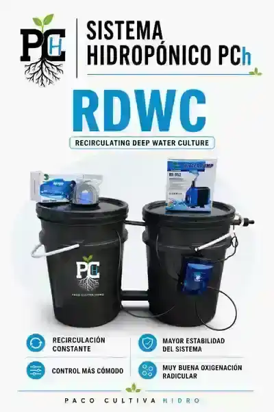 Sistema RDWC 4.1