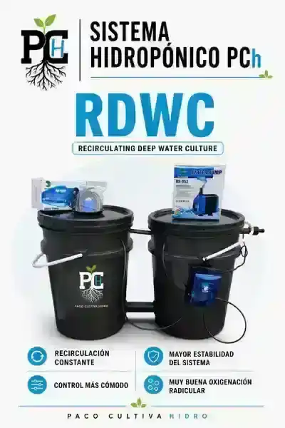 Sistema RDWC 6.1